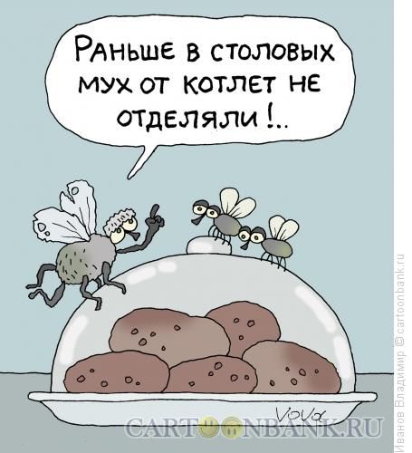 muhi-i-kotlety.jpg