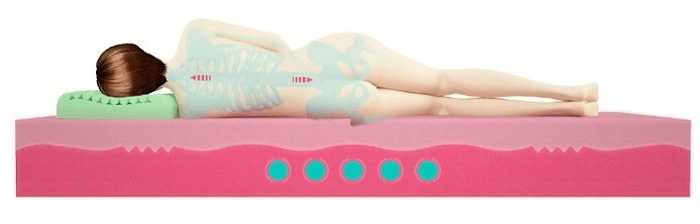 Kamasana Moraira � Mr. Mattress BioGold Hard: ��������� � ���������