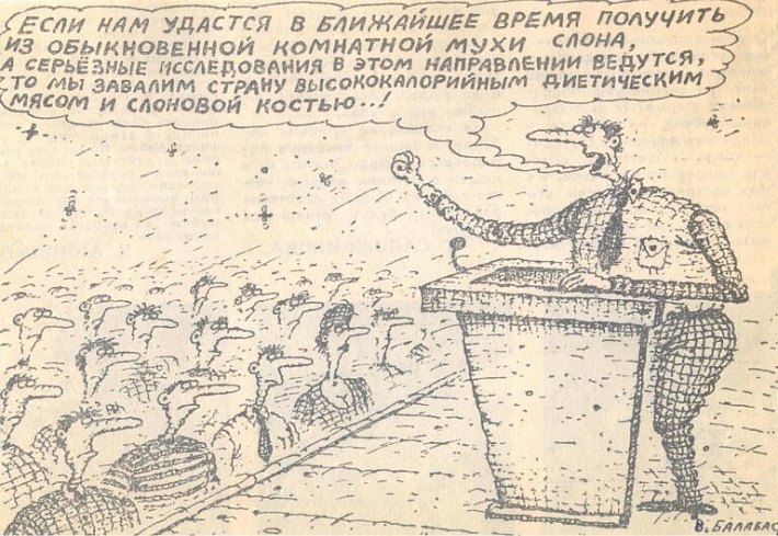 iz-muhi-slona.jpg